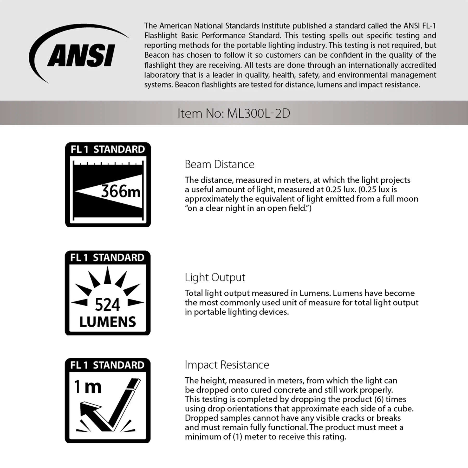 2 Cell D LED Maglite® — view 2