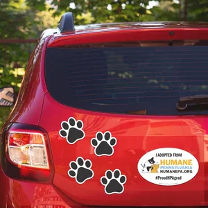 5.75 x 8.5 Inch Car Magnet with Four Paw Prints, Full-Color Imprint