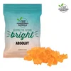2 oz Candy Snack Bags in White