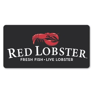 2 x 4 Inch Rectangle Permanent Standard Label
