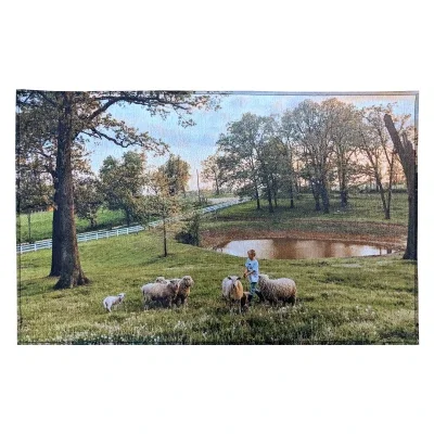 Indoor rug shown flat in the smaller 20 by 31 size