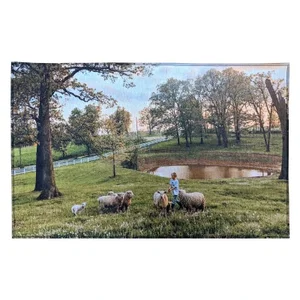 Indoor Rug — 20" X 31" & 31" X 51"
