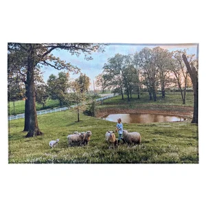 Indoor Rug — 20" X 31" & 31" X 51"