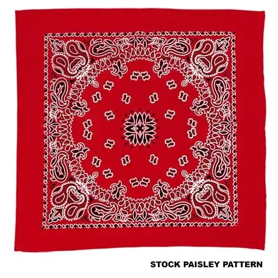 22" Bandana with Stock Paisley Pattern — view 4