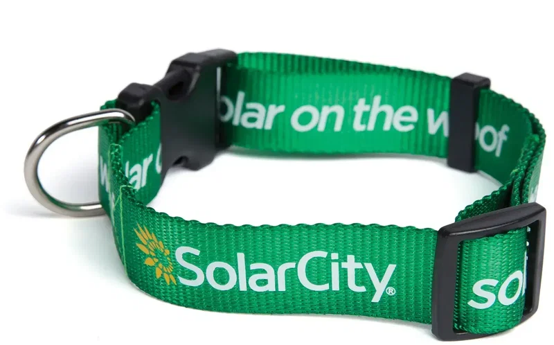 Custom Nylon Dog Collar - 3/4" x 14" — view 2