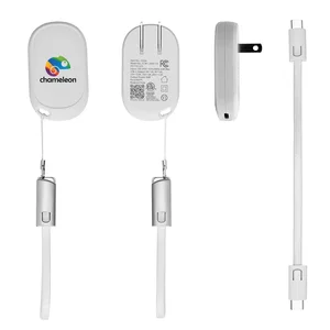 30W Portable Wall Charger