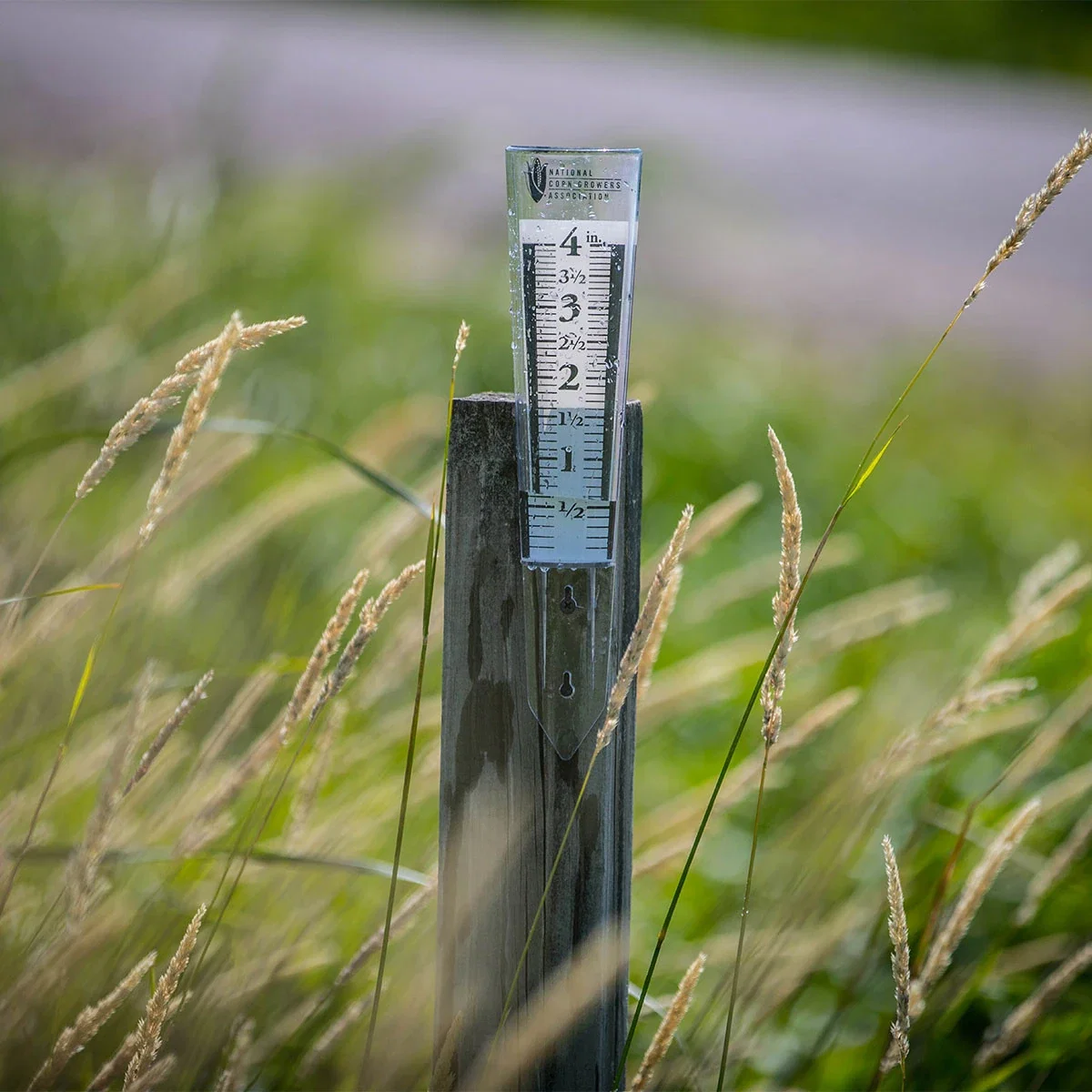 4" Magnifying Rain Gauge — view 2