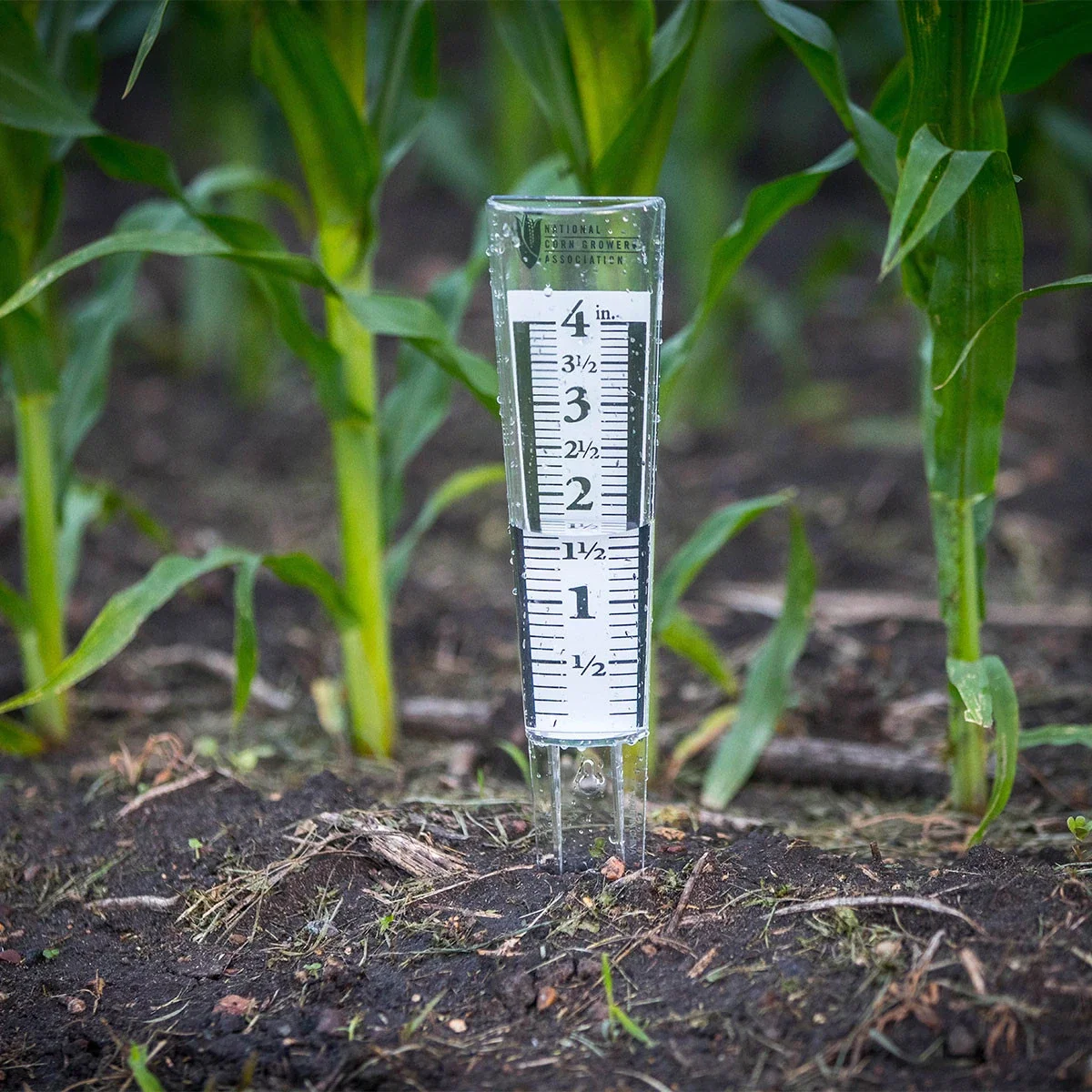 4" Magnifying Rain Gauge — view 3