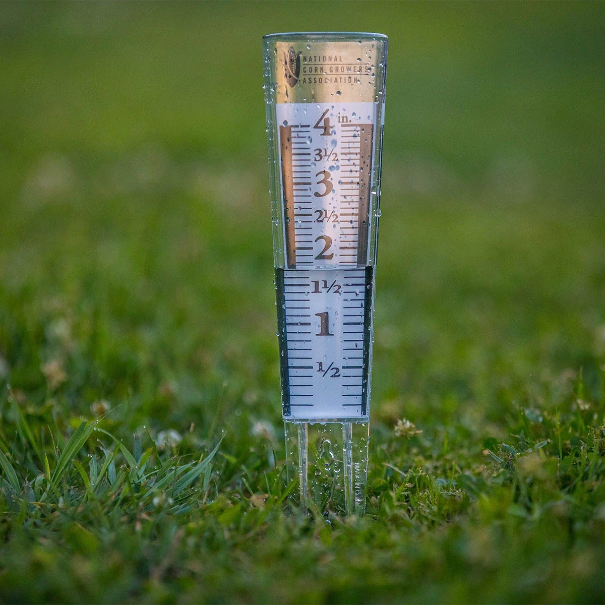 4" Magnifying Rain Gauge — view 4