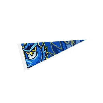 Larger format pennant filling the frame