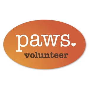 5 x 3 Inch Oval Permanent Bumper Sticker, Full-Color Vinyl Imprint
