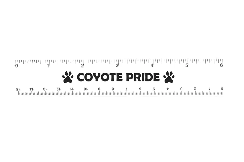 6" Plastic Ruler