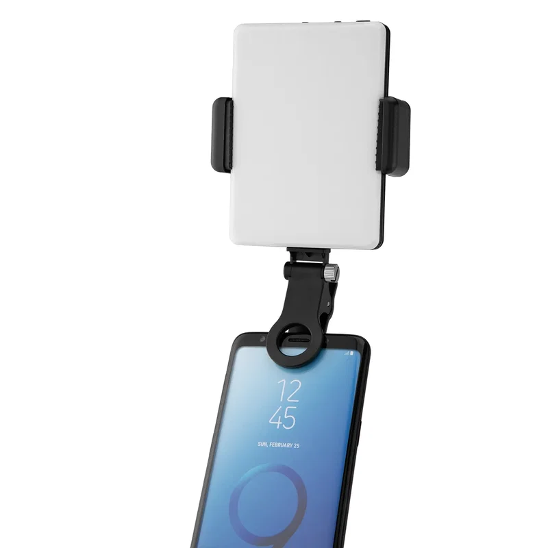 Rear side showing the hinged mount
