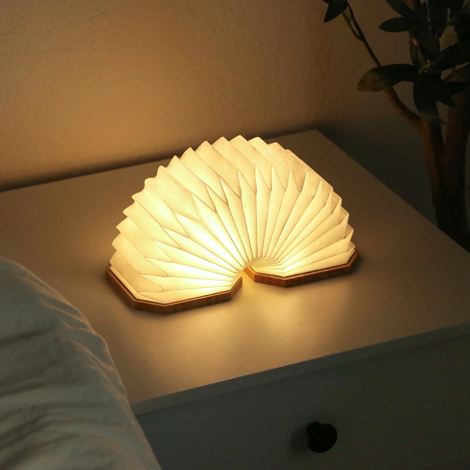 Accordio Light — view 11