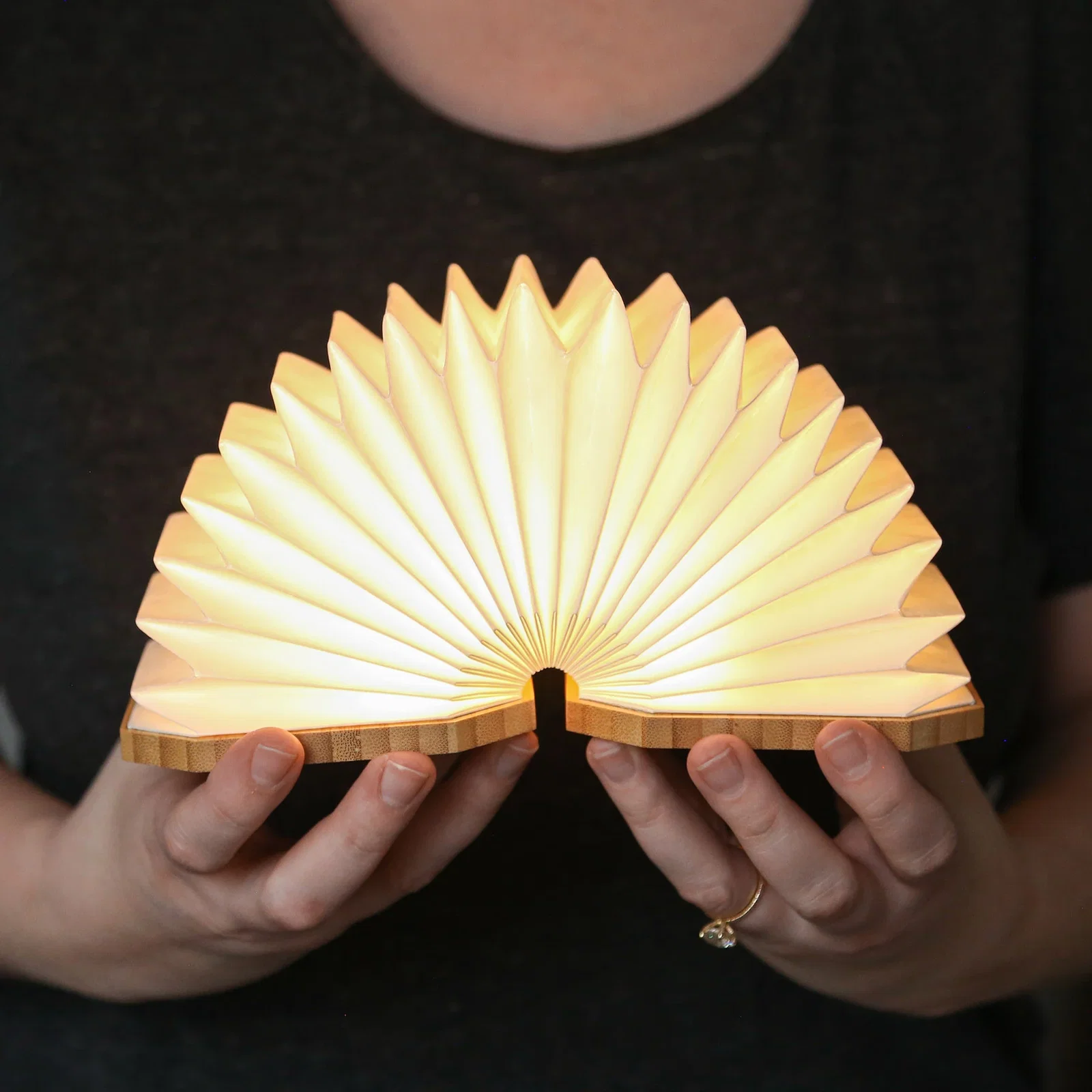 Accordio Light — view 2
