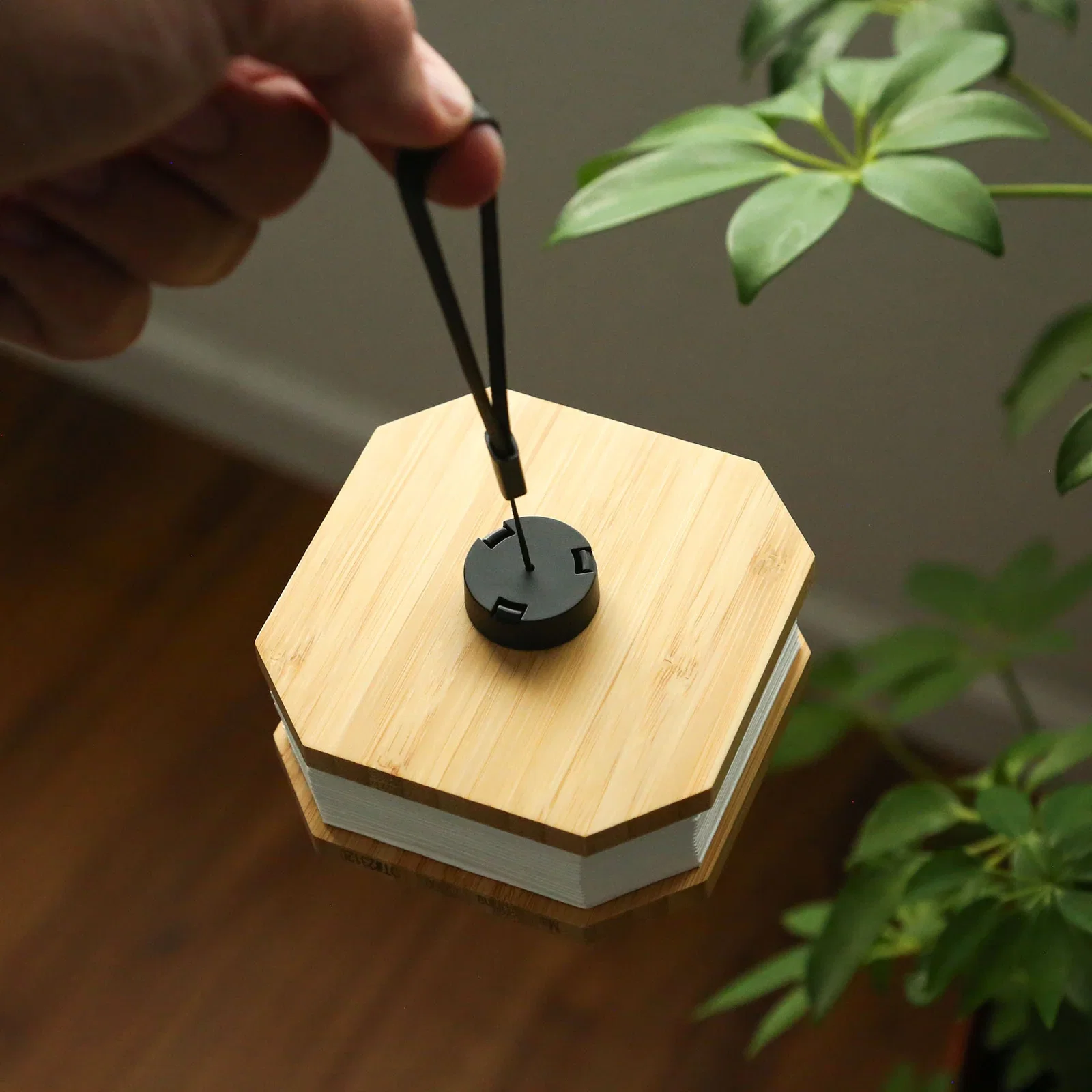 Accordio Light — view 9