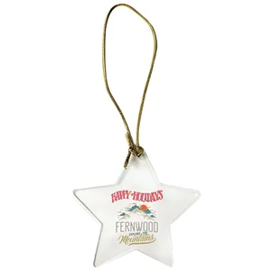 Acrylic Star Ornament