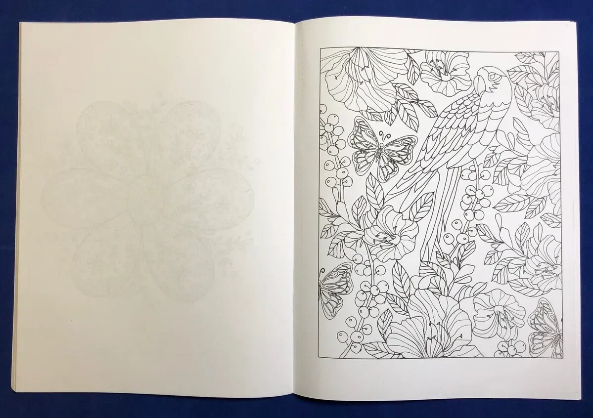 Adult Coloring Book - Nature Stress Relieving Coloring Book for Adults — view 2