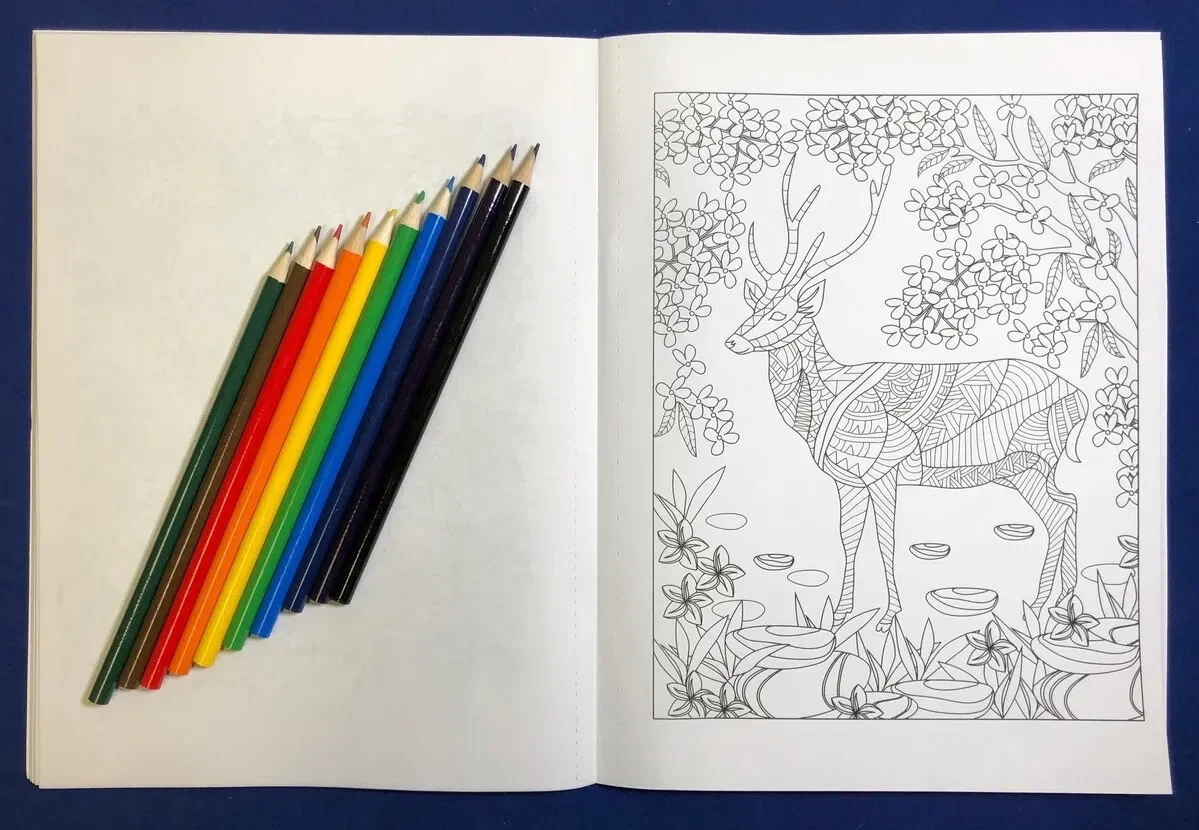 Adult Coloring Book - Nature Stress Relieving Coloring Book for Adults — view 4