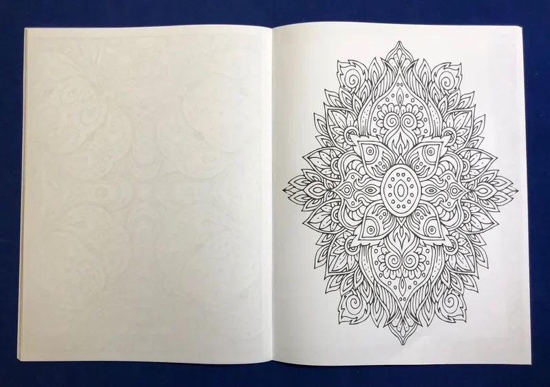 Adult Coloring Book - ZenDoodle Stress Relieving Coloring Book for Adults — view 2