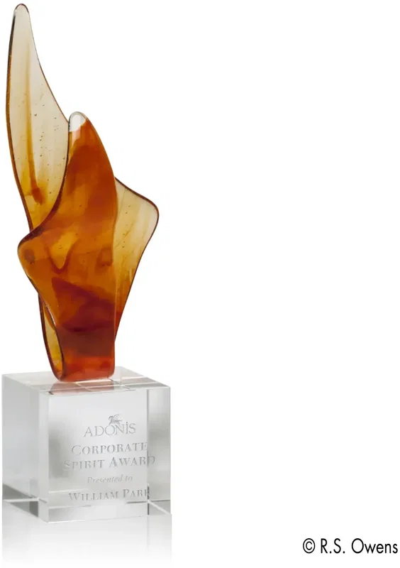 Amber Blaze Award — view 2
