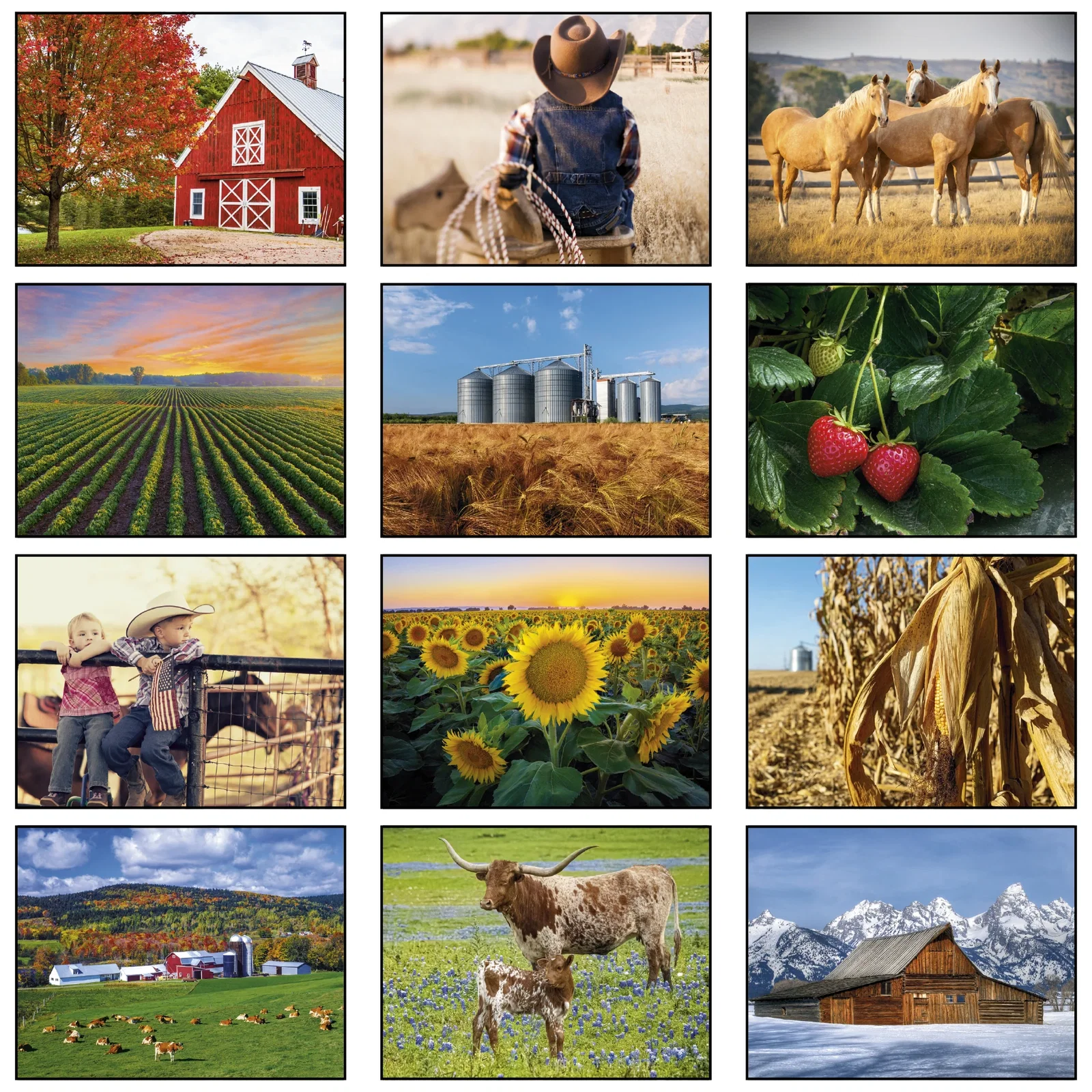 American Agriculture Wall Calendar: 2025 Stapled — view 3