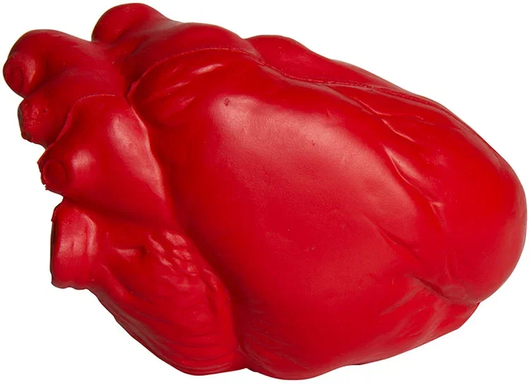Anatomic Heart Stress Reliever — view 2