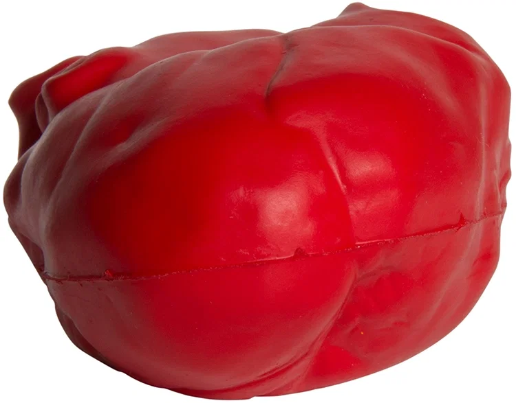 Anatomic Heart Stress Reliever — view 5
