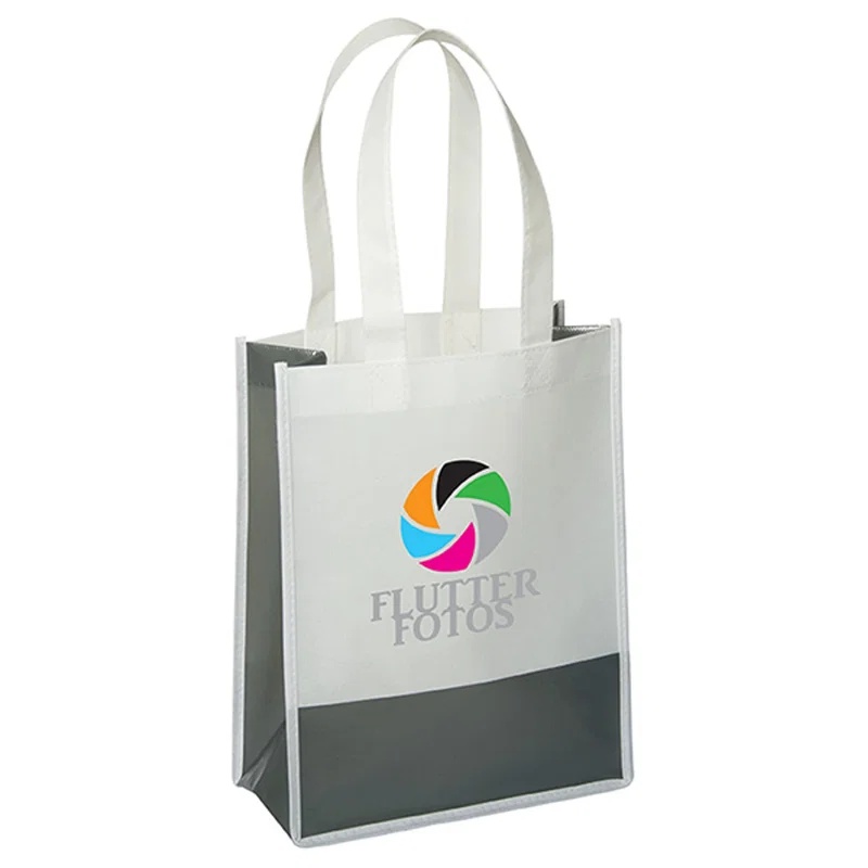 Andover Way Small Laminated Bag — view 2