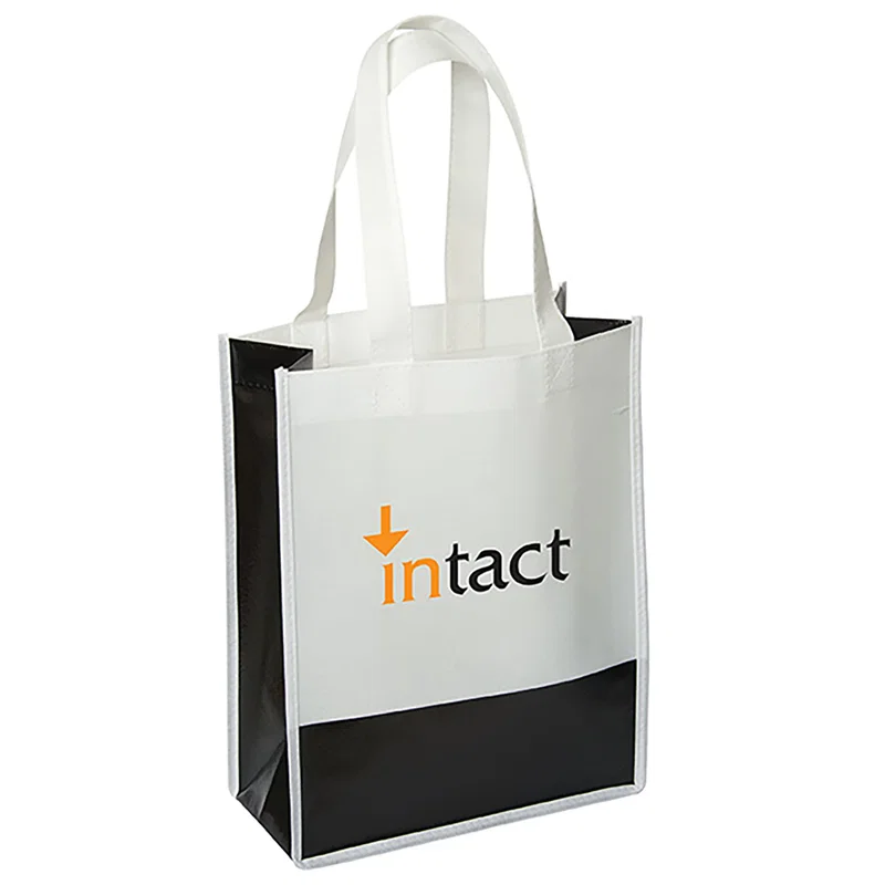 Andover Way Small Laminated Bag — view 3