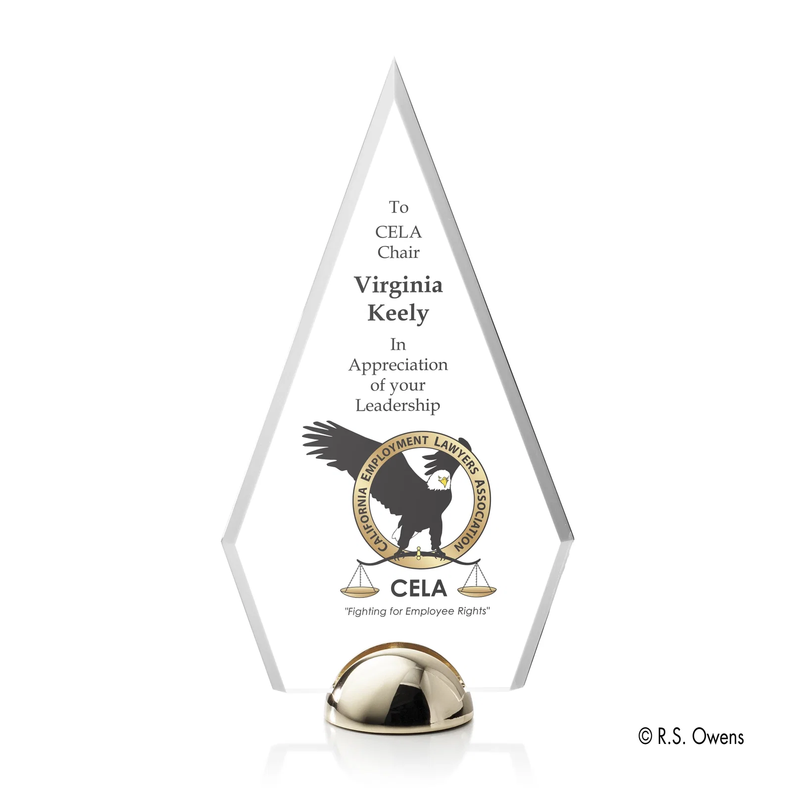 Apex Hemisphere Award — view 7