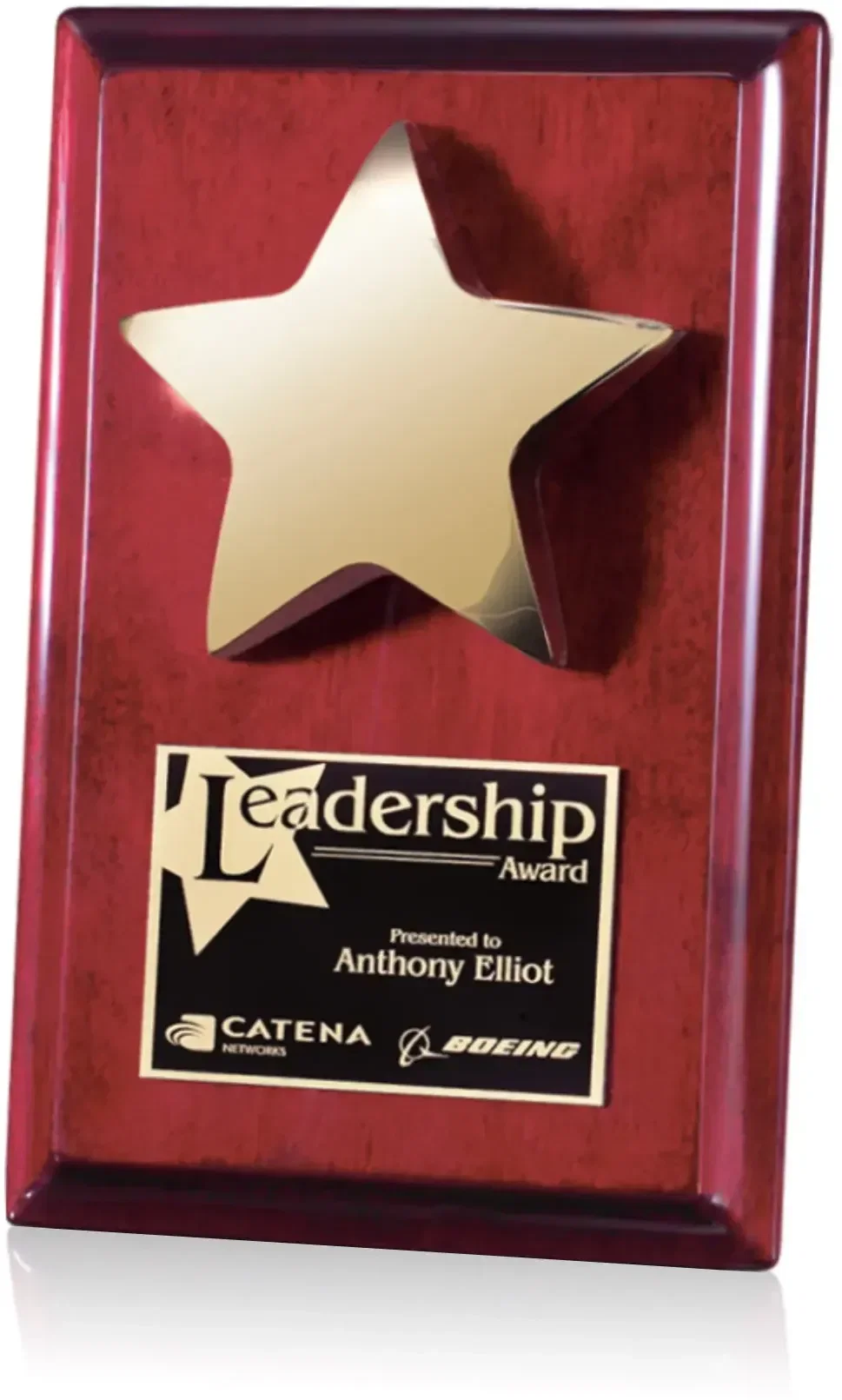 Custom Star Plaque with High-Gloss Finish — view 3
