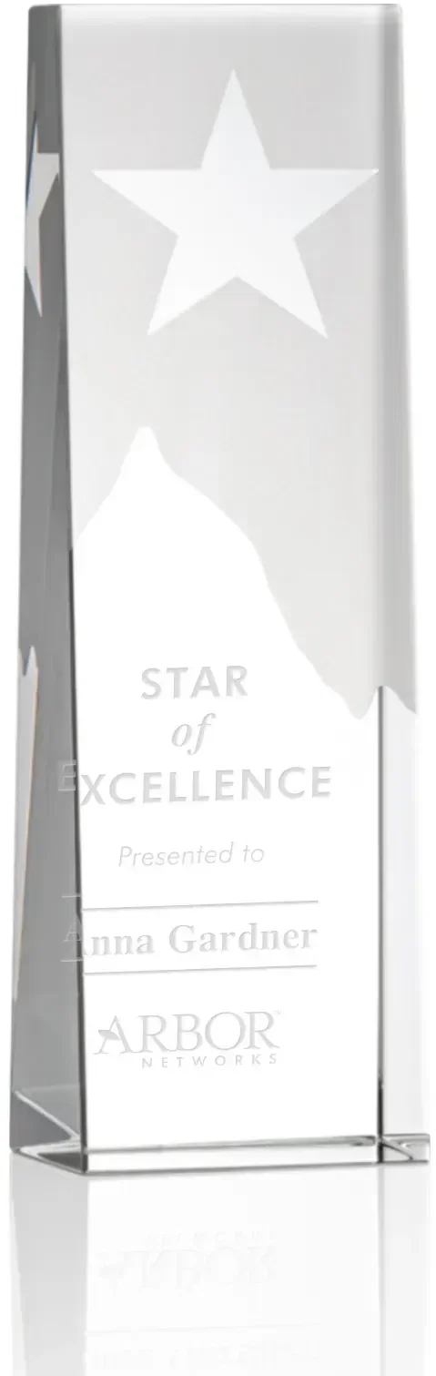 Artemus Star Award — view 2