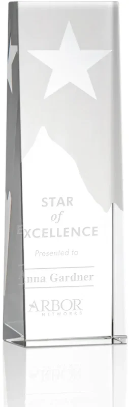 Artemus Star Award — view 2