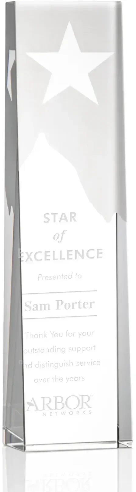Artemus Star Award — view 3