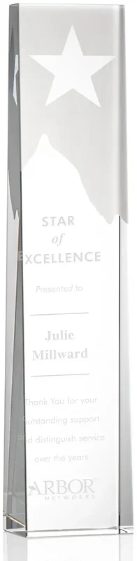 Artemus Star Award — view 4