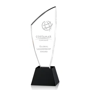 Asymmetric-Curve Crystal Award