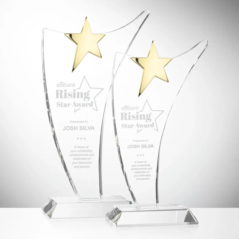 Atkinson Gold Star Award