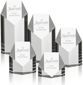 Auburn Award