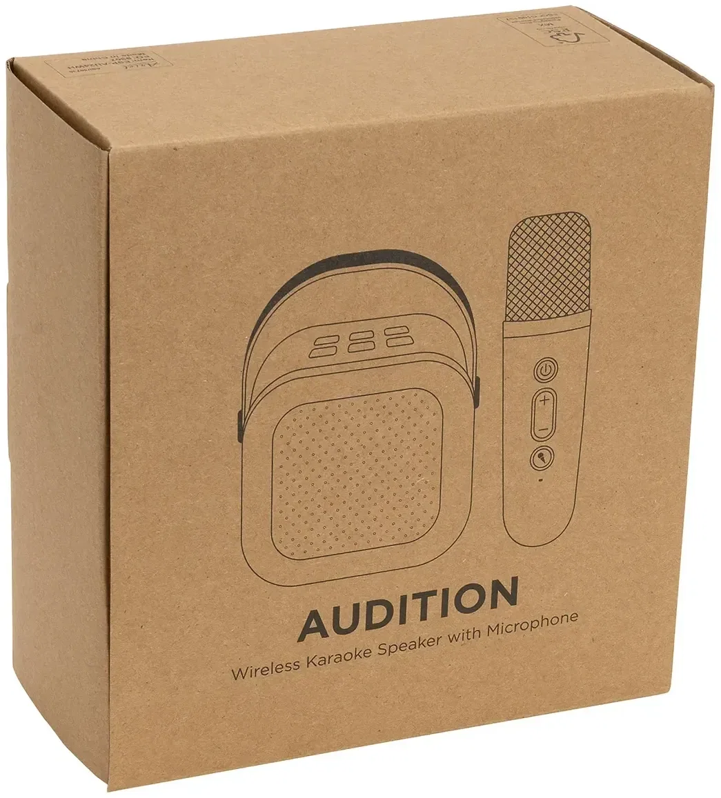 Branded Audition karaoke Bluetooth speaker showing handheld mic side detail
