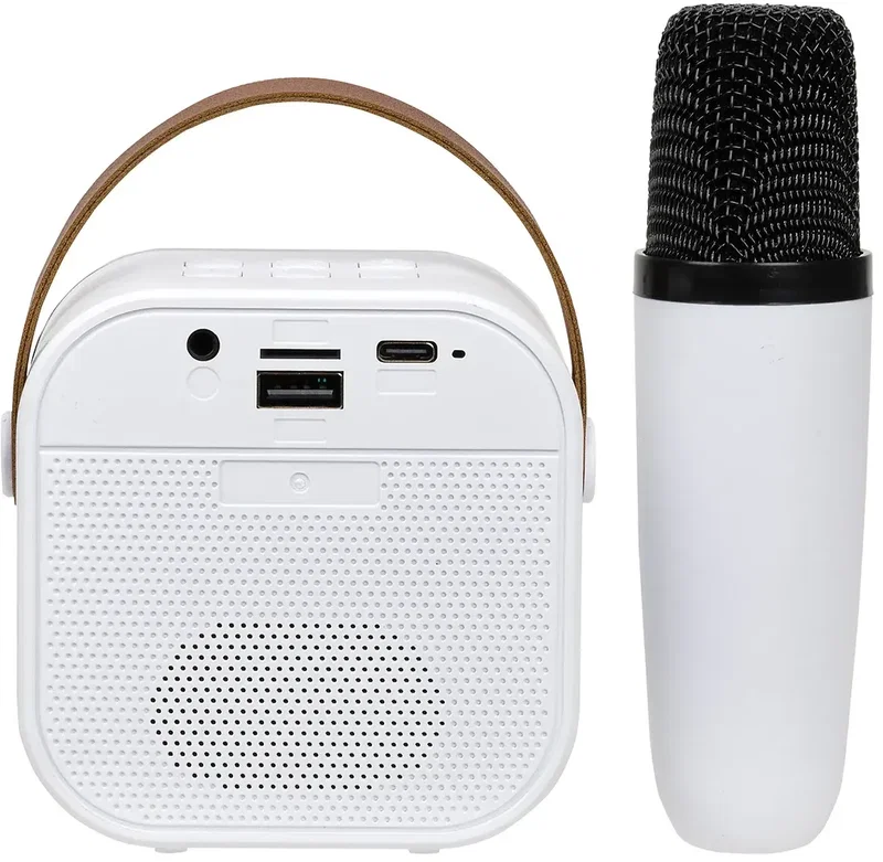 Branded Audition handheld karaoke microphone close-up for wireless speaker set