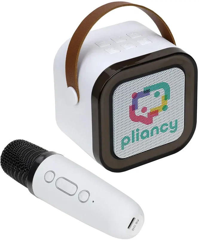Promotional Audition wireless karaoke speaker and mic in use at a gathering
