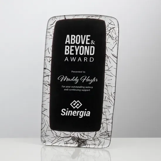 Augin Award — view 2