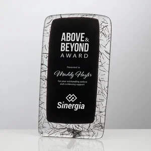 Hand-Kilned Fused Glass Award