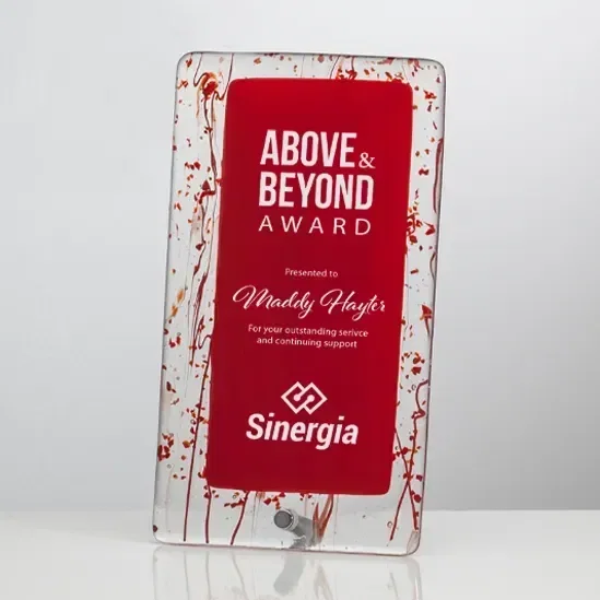 Augin Award — view 4