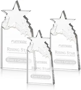 Augustine Award Star Mountain Award