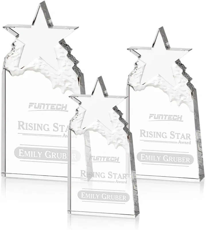 Augustine Award Star Mountain Award