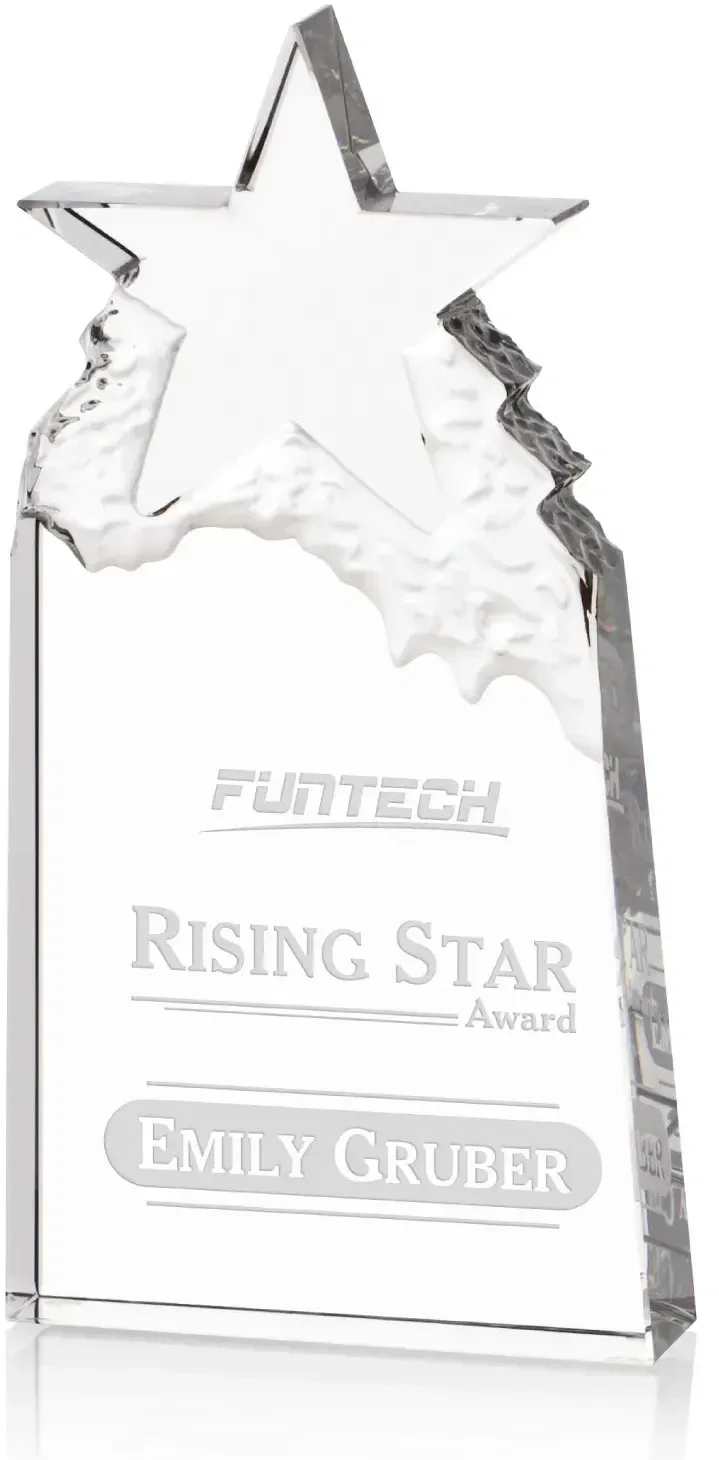 Augustine Award Star Mountain Award — view 2