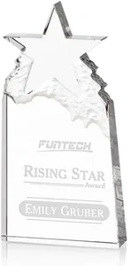 Augustine Award Star Mountain Award