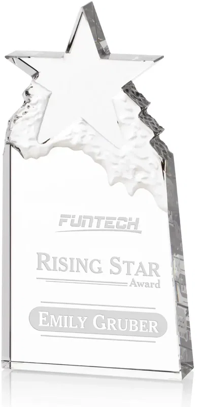 Augustine Award Star Mountain Award — view 2